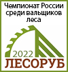 Чемпионат России «Лесоруб 2022 года»